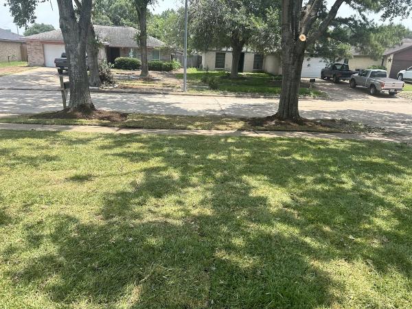 Earthworks Landscape and Maintenance
