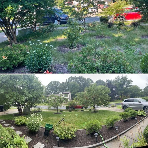 The Top Team Lawn Care