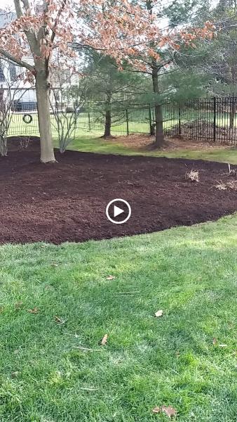 The Top Team Lawn Care