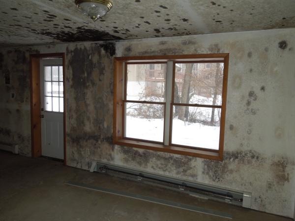 KD Environmental Consulting Services LLC