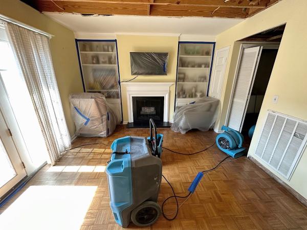 Blue Chip Restoration
