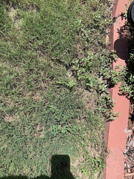 Todd's Lawn and Landscape Care