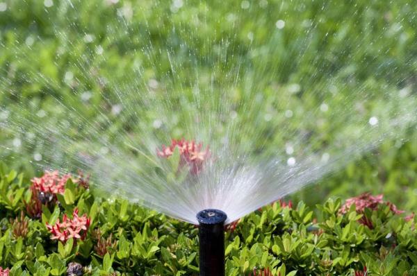 Gold Mountain Landscaping & Irrigation
