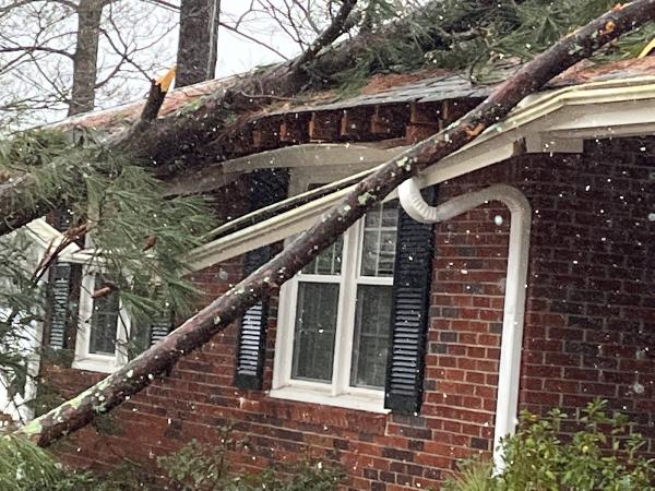 G&D Tree Services