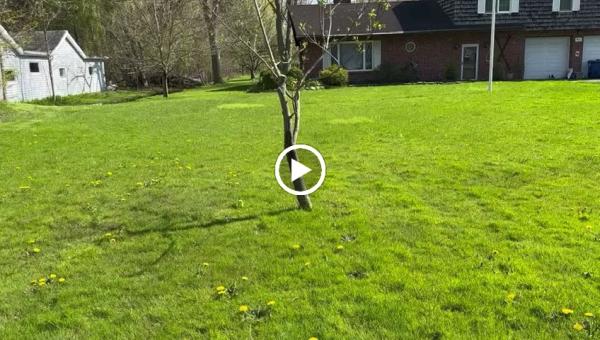 KD Landscaping Albany NY