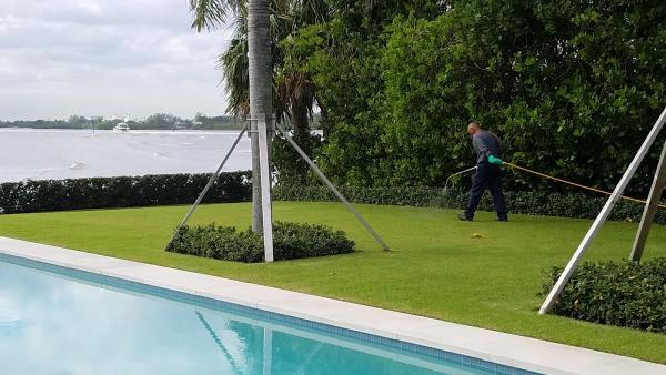 Island Environmental Pest Control