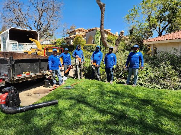 Calderon Landscaping and Tree Service