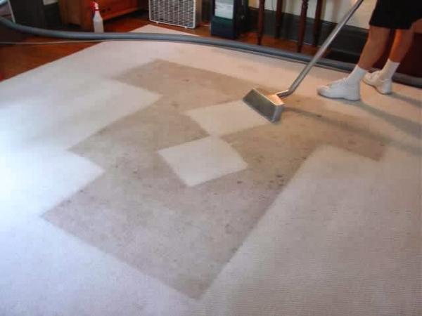 Extreme Steam Carpet Care