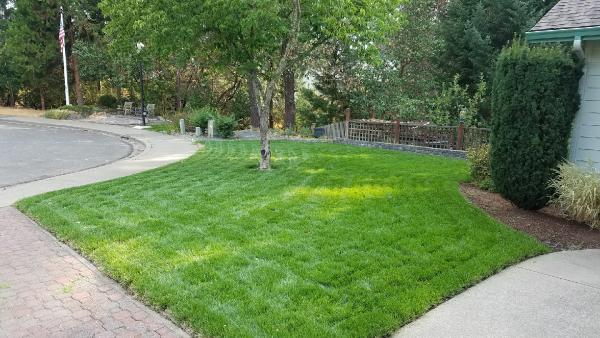 Superior Lawn Services