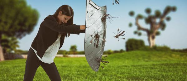 Dads Against Mosquitoes