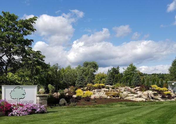 Miller Landscape