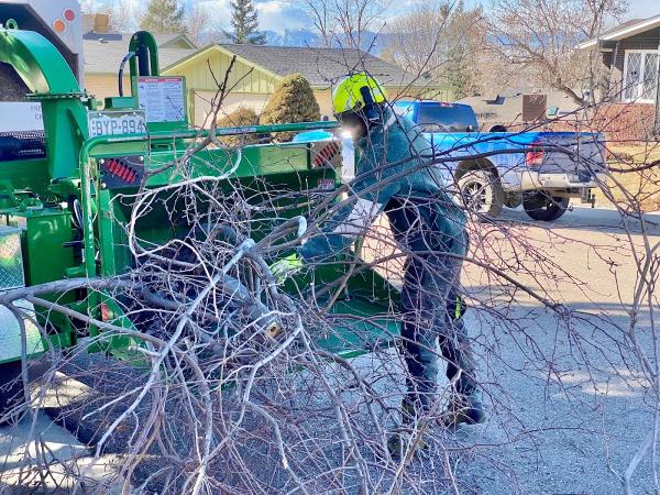 Roots Up Tree Company