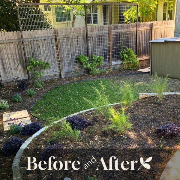 Seedlings Landscape Design Build