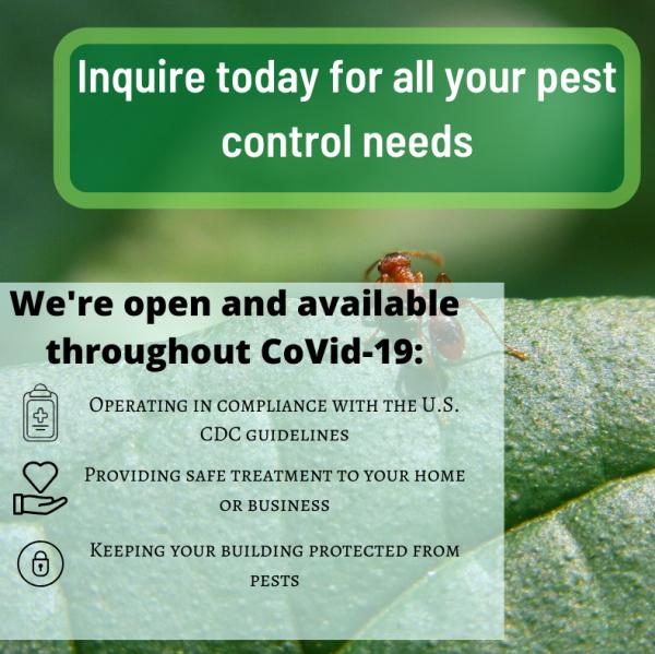 IPM Greenway Pest Control