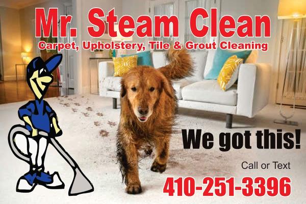 Mr Steam Clean