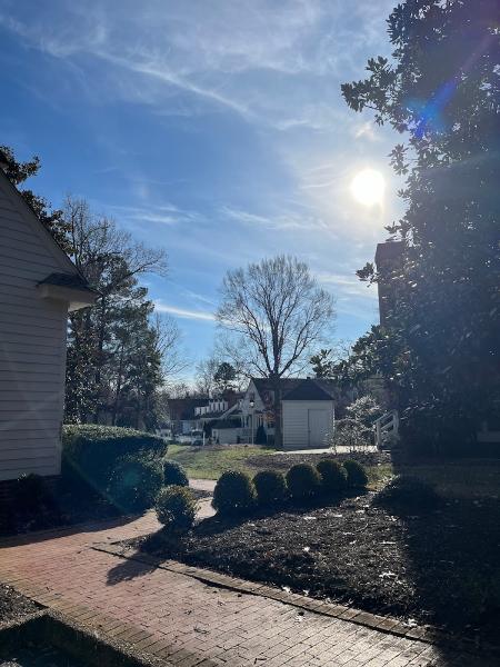 Darrin Tree Service