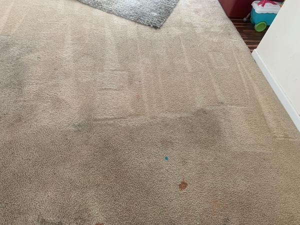 Ron's Superior Carpet Care