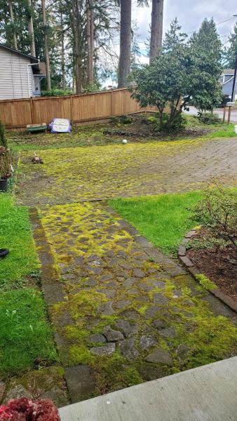 Snoho Pressure Wash