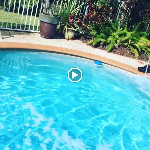 Elite Swimming Pools