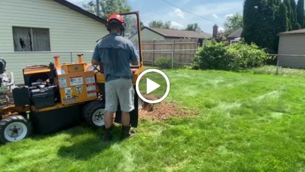 Priority Stump Grinding LLC