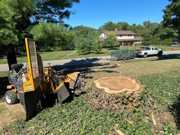 Priority Stump Grinding LLC