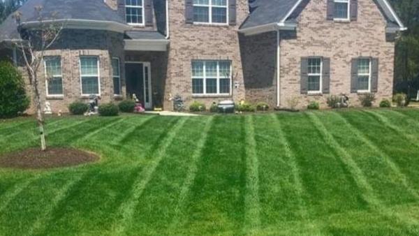 Cutting Edge Lawn and Landscape