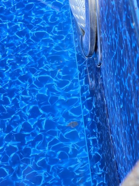 Pool Doctor
