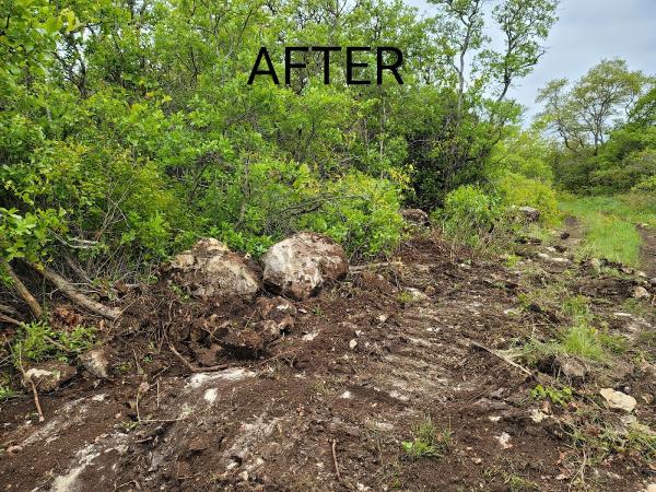 Bobo's Land Clearing and Hotshot Transport Services