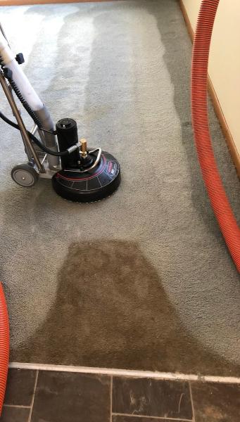 Clean Indeed