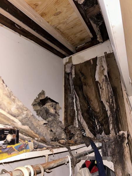 Long Island Mold Guy