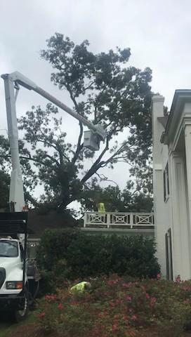 Parrish Tree Service