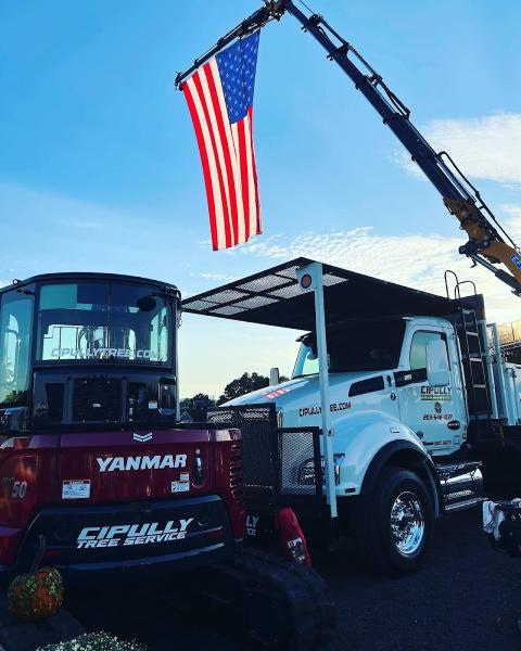 Cipully Tree Service LLC