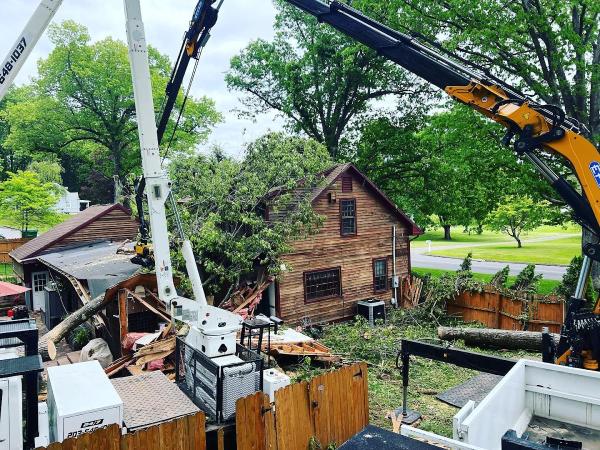 Cipully Tree Service LLC