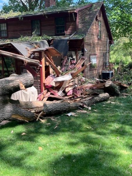 Cipully Tree Service LLC