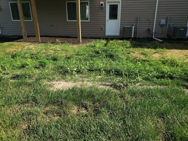 Davis Landscape Ltd