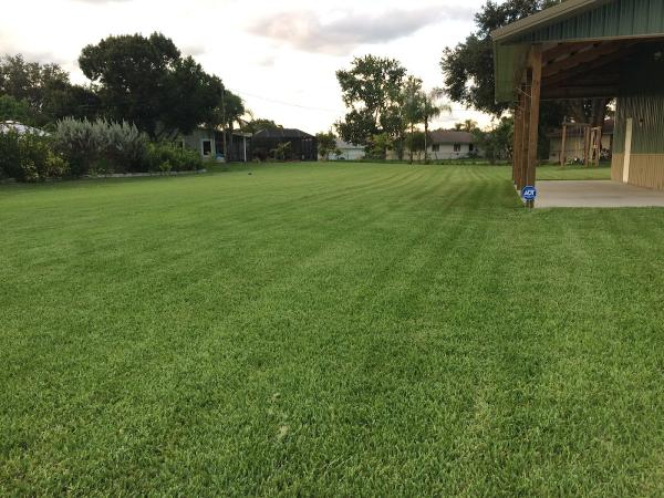 Durham Landscaping Inc