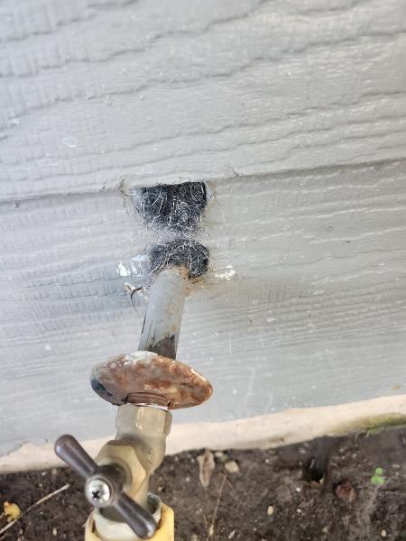 Pest Control Services
