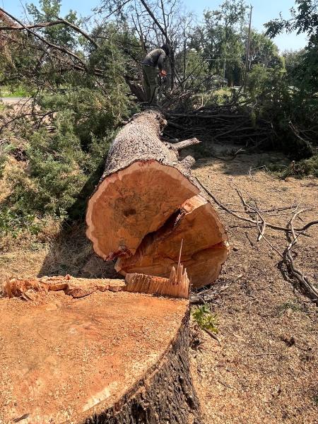 Rigby Timber / Flow State Tree Works