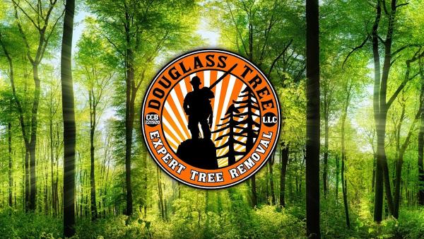 Douglass Tree LLC
