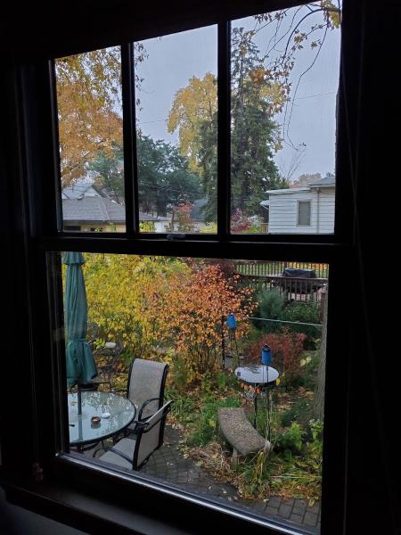 Marcelo's Window AND Gutter Cleaning Service