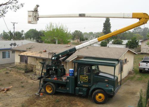 Tom Day Tree Service