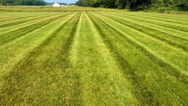 Lawn & Order