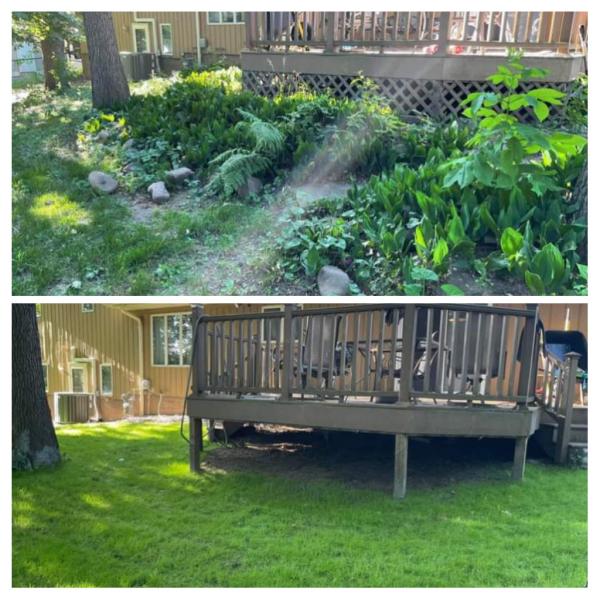 See Green Hydro Seeding and Landscaping
