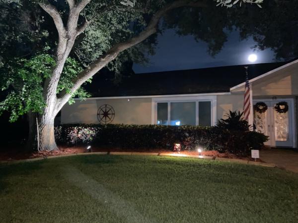 Progreen Pest Control & Lawn