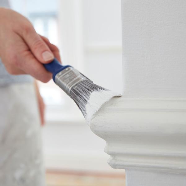 Primed LLC