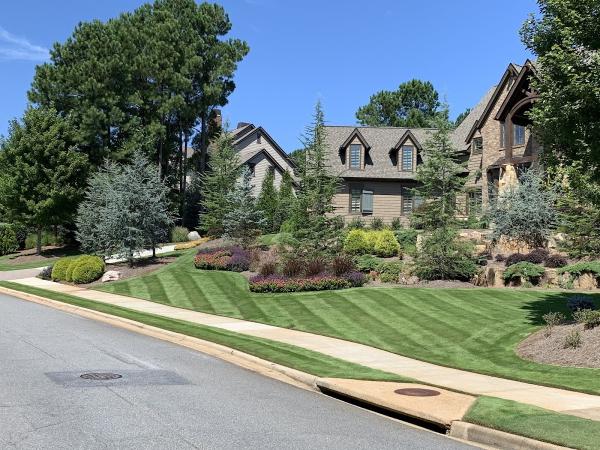 Luxury Lawn Maintenance