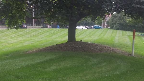 Adams Landscape Management Inc