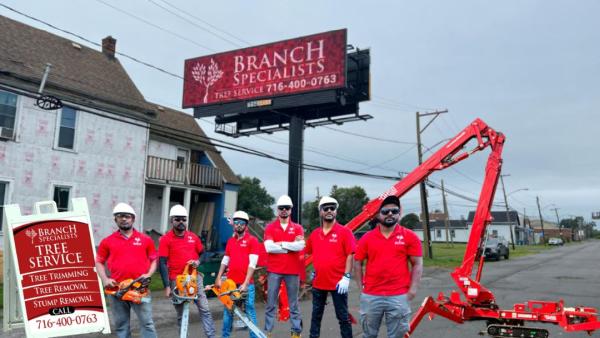 Branch Specialists Tree Service Buffalo NY