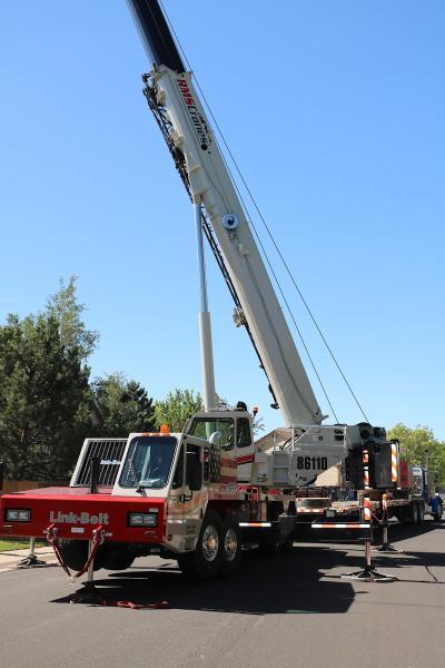 Denver Tree Service Company