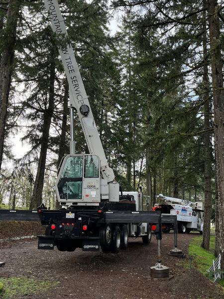 Mountain View Tree Service
